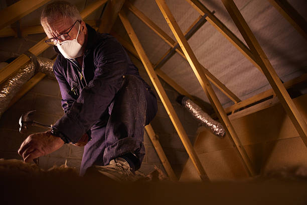 Professional Insulation Contractor in Flowood, MS